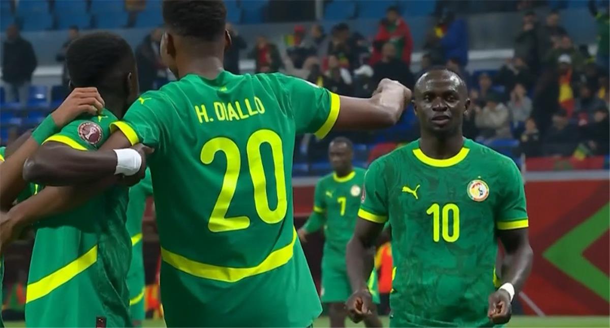 فيديو | حبيب ديالو يسجل هدف السنغال الثاني أمام بنين 
