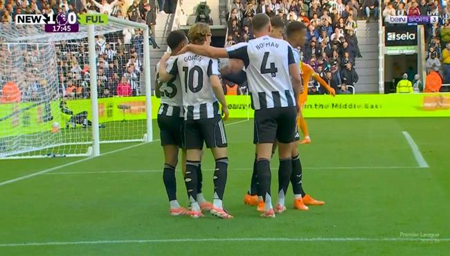 اهداف مباراة نيوكاسل وفولهام (21) الدوري الانجليزي