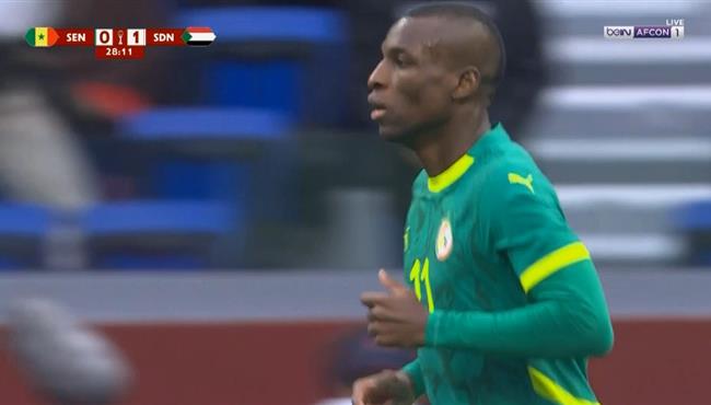 تصدي مُنجد النيل الرائع يحرم السنغال من هدف محقق بكأس امم افريقيا
