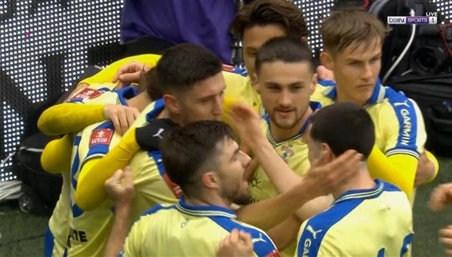 هدف فوز ساوثهامبتون القاتل علي فولهام (10) كاس الاتحاد الانجليزي