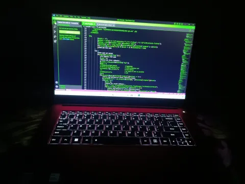 Laptop showing performance graph on screen.