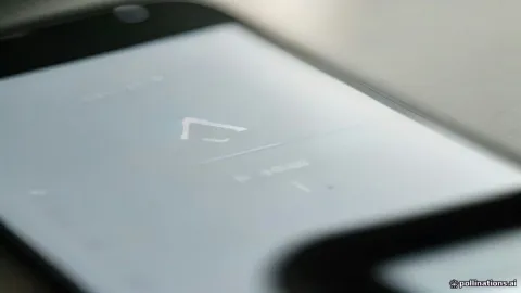 مشكلة علامة الصح الواحدة في تطبيق واتساب على الهاتف